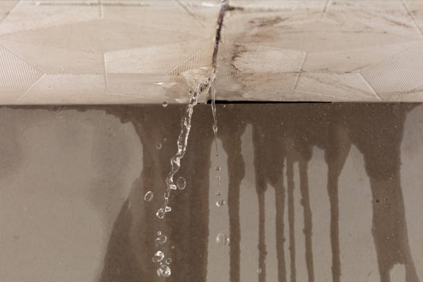 Professional Water Damage Restoration technician working in Finchville, KY
